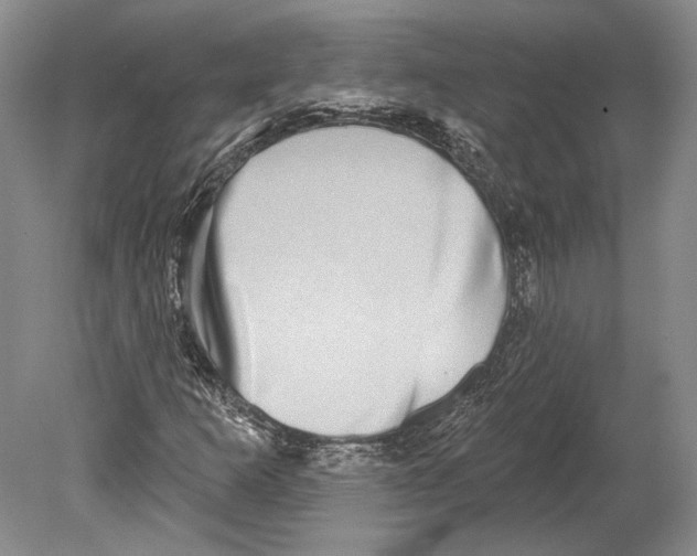 X0000078851253200612111612