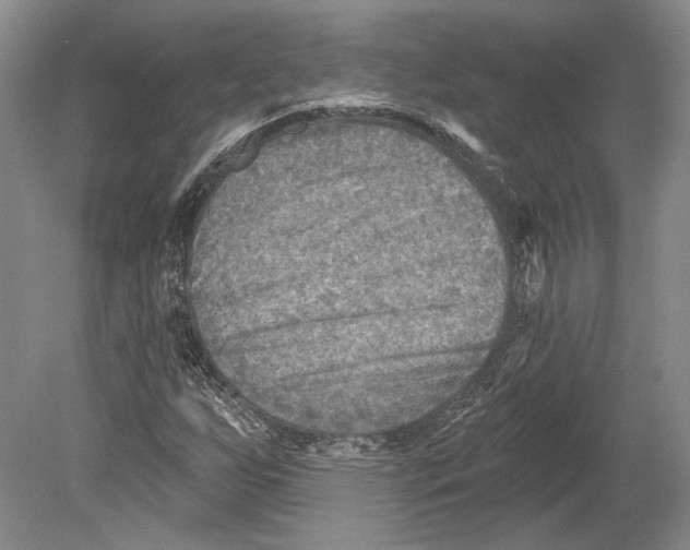 X0000078851255200612111612