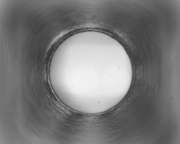 X0000078851262200612111612