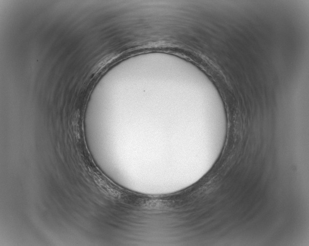 X0000078851265200612111612