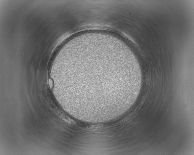 X0000078851267200612111612