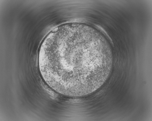 X0000078851276200612111612