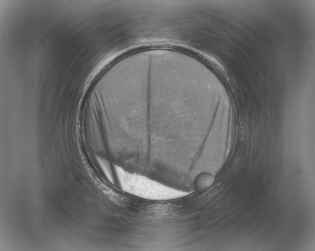 X0000078851279200612111612