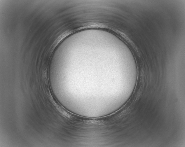 X0000078851281200612111612