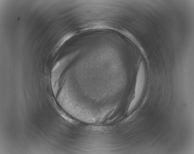 X0000078851289200612111612
