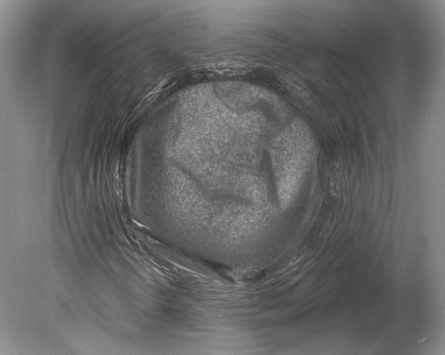 X0000078851298200612111611
