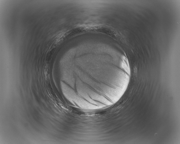 X0000078851300200612111611