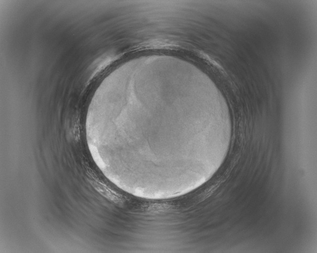 X0000078851306200612111611