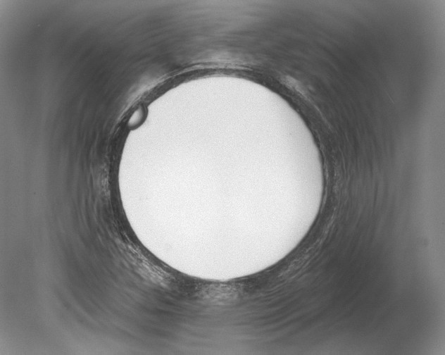 X0000078851307200612111611