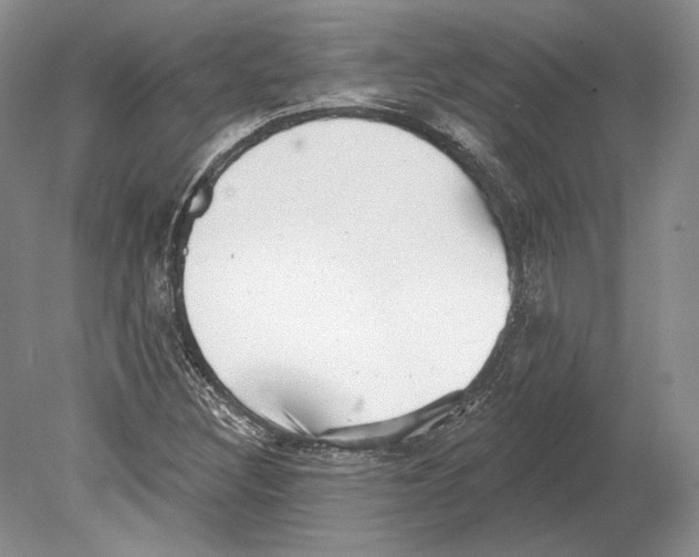 X0000078851308200612111611