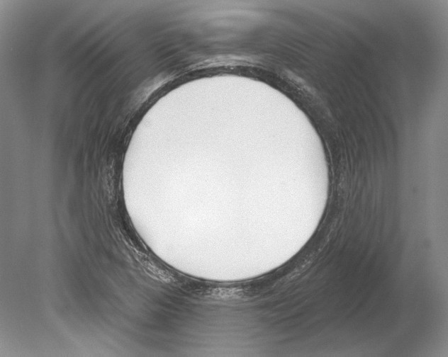 X0000078851313200612111611