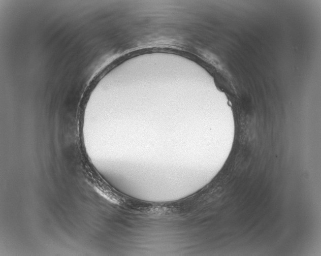 X0000078851316200612111611