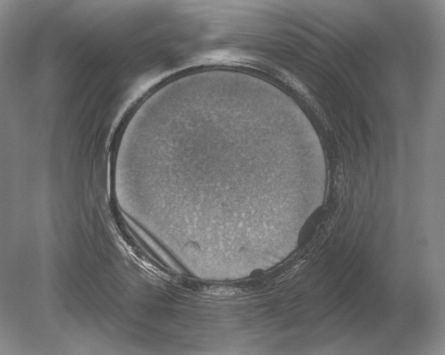 X0000078851323200612111611