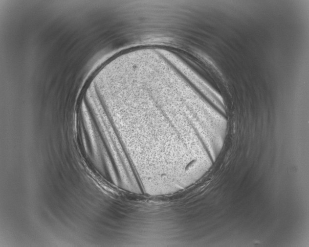 X0000078851324200612111611