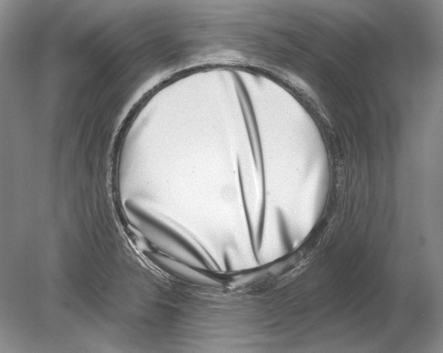 X0000078851326200612111611