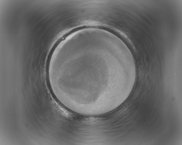 X0000078851327200612111611