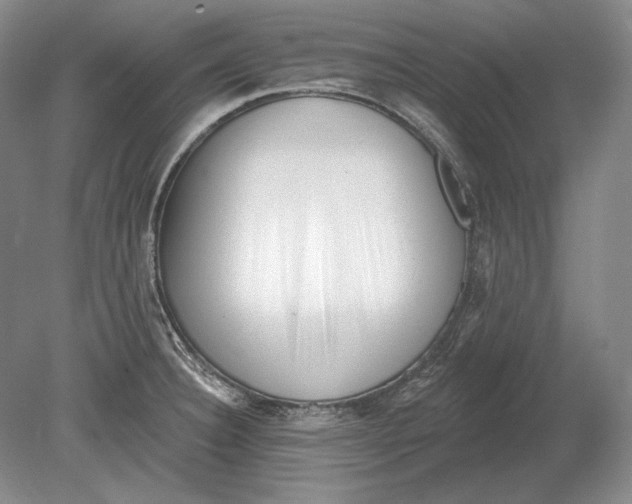 X0000078851332200612111611