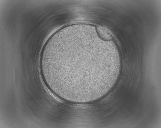 X0000078851333200612111611