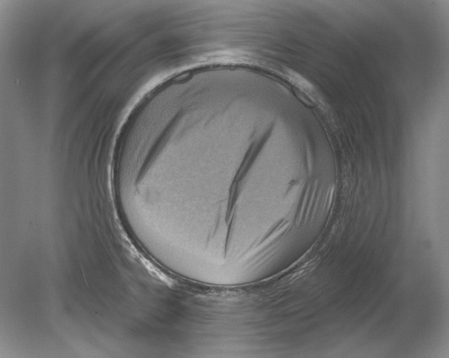 X0000078851334200612111611