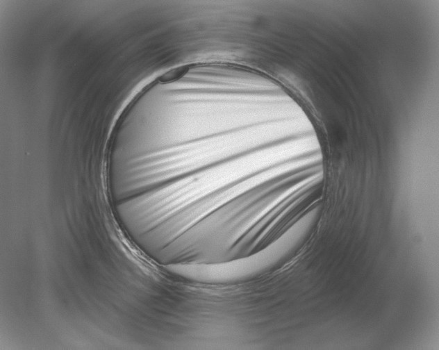X0000078851340200612111611