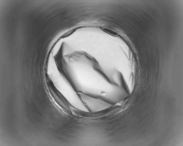 X0000078851344200612111612