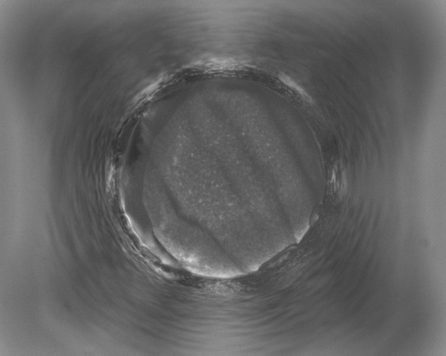 X0000078851348200612111611