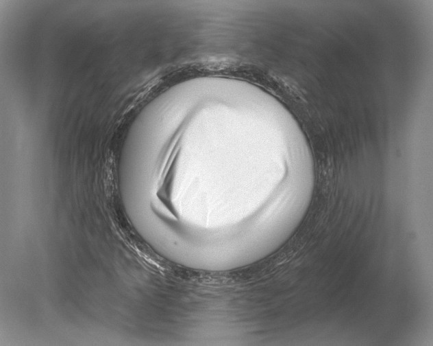X0000078851349200612111611