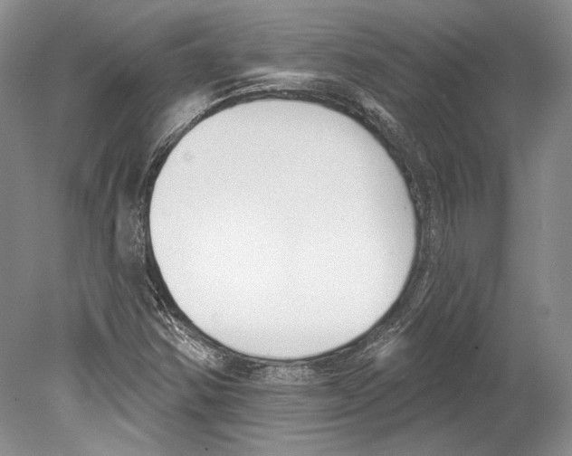 X0000078851354200612111611