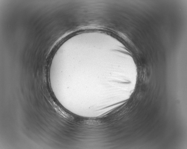X0000078851356200612111611