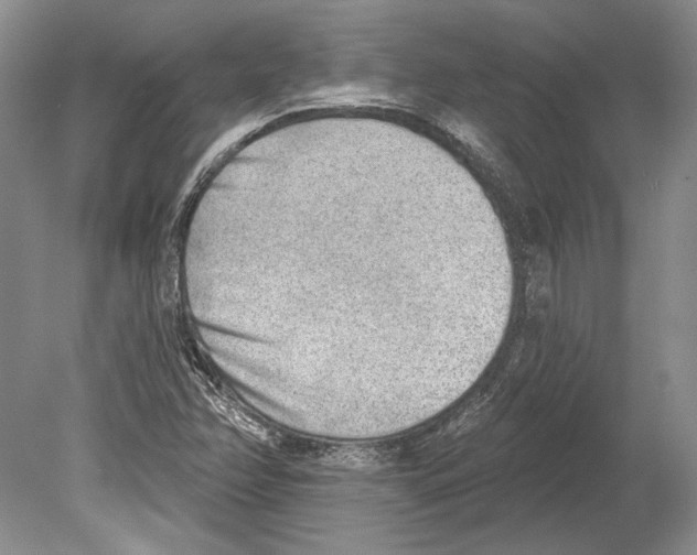 X0000078851358200612111610