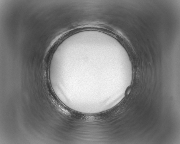 X0000078851360200612111610