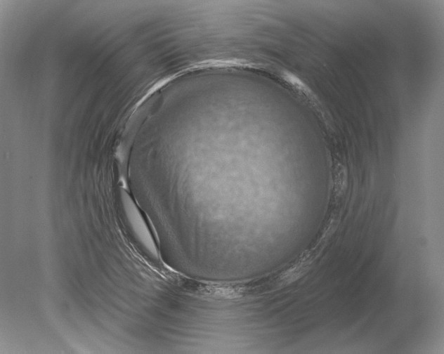 X0000078851361200612111610