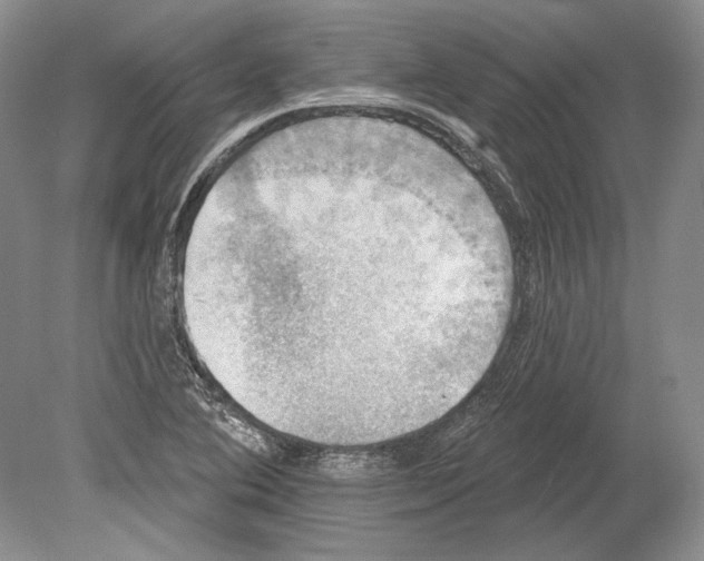 X0000078851364200612111610