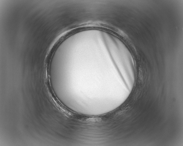 X0000078851368200612111610