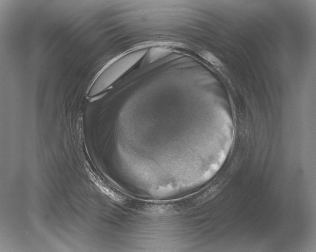 X0000078851369200612111610