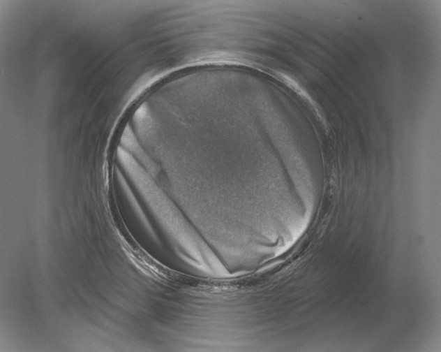 X0000078851372200612111610