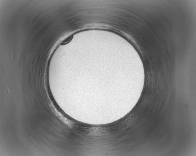 X0000078851379200612111610