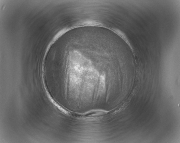 X0000078851381200612111610