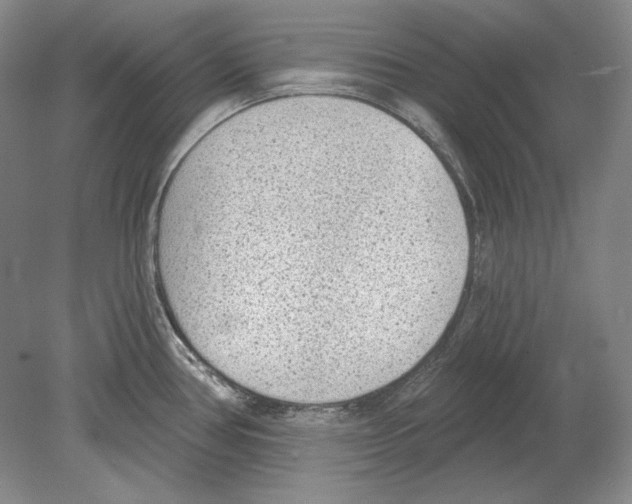 X0000078851386200612111610