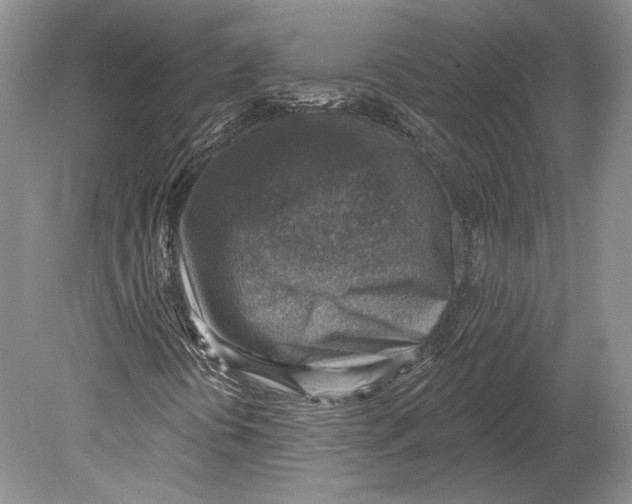 X0000078851394200612111609