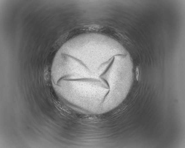 X0000078851395200612111609