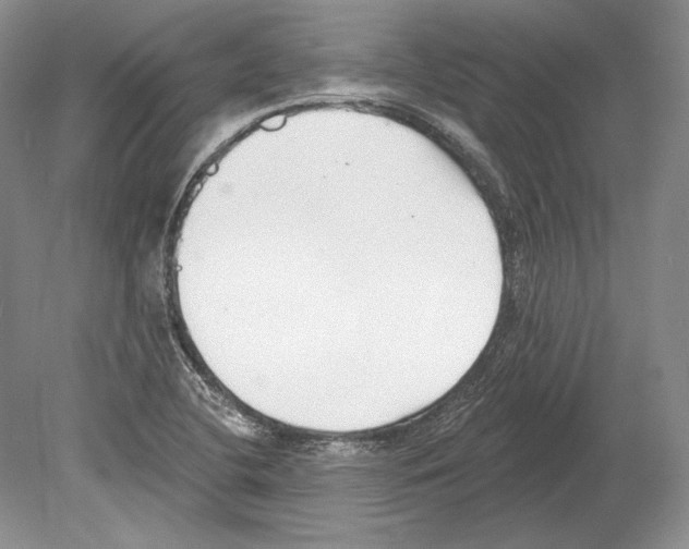 X0000078851412200612111609