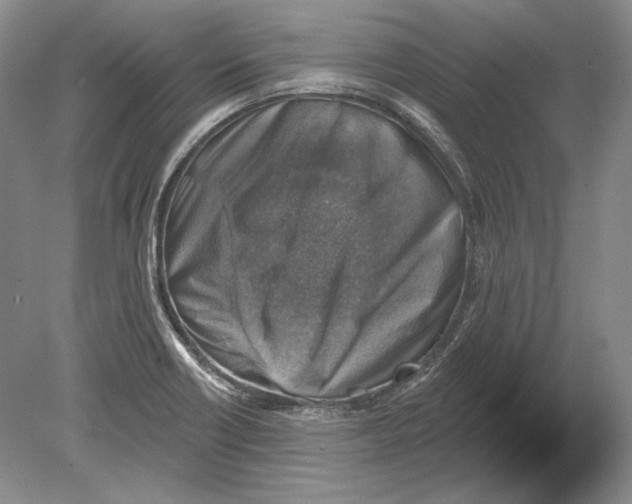 X0000078851418200612111609