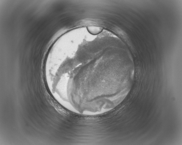 X0000078851427200612111610