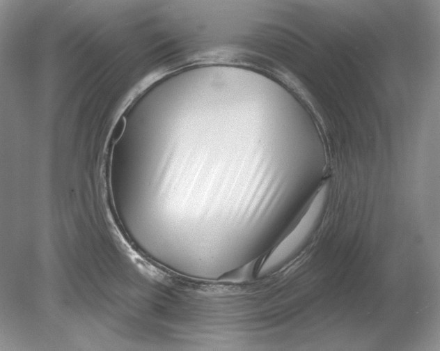 X0000078851434200612111610