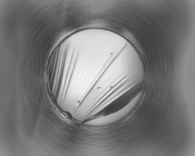 X0000078851436200612111610