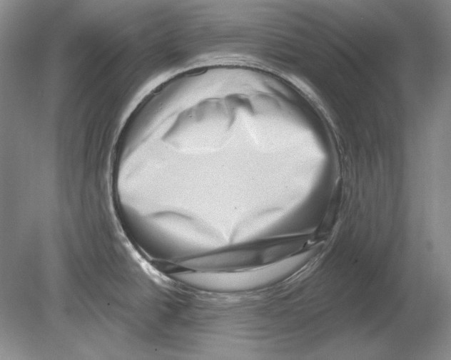 X0000078851438200612111610