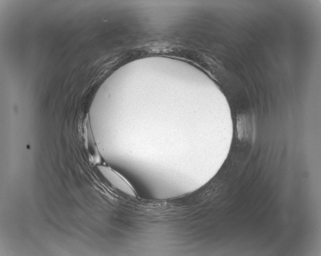 X0000078851444200612111609