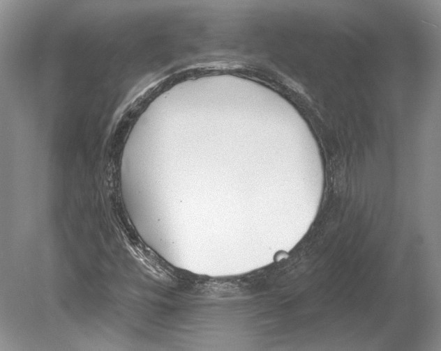 X0000078851448200612111609