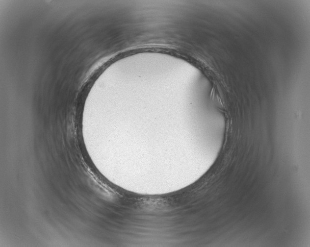 X0000078851452200612111609